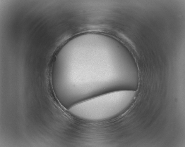 X0000072971411200607211018