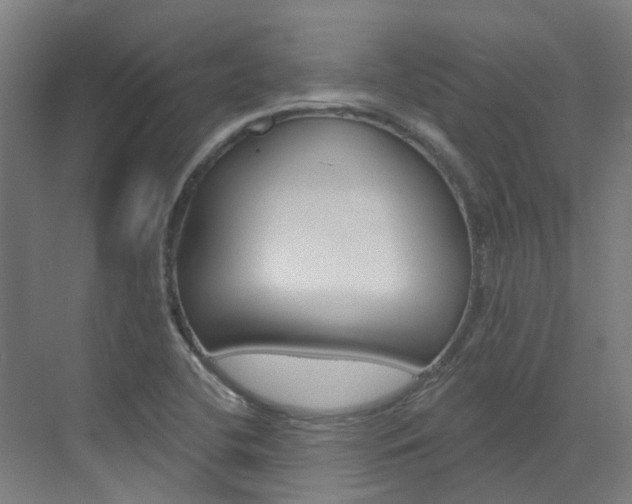 X0000072971412200607211018