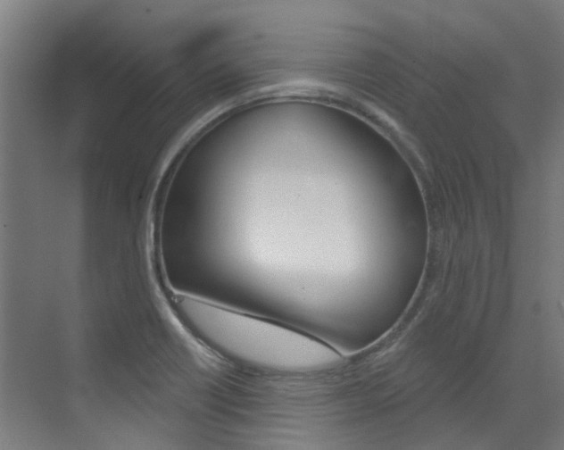X0000072971418200607211019