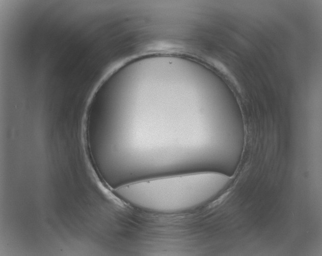 X0000072971421200607211019