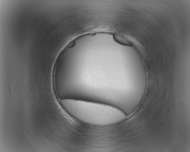 X0000072971423200607211019