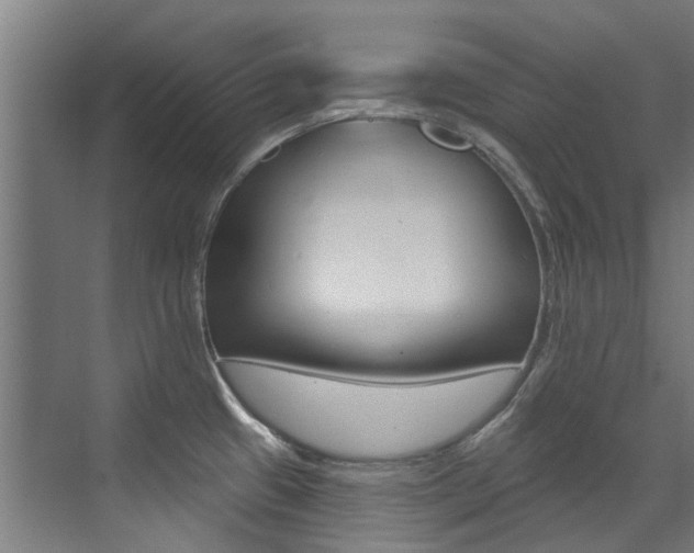 X0000072971433200607211019