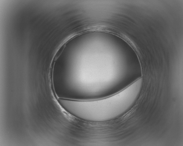 X0000072971434200607211019