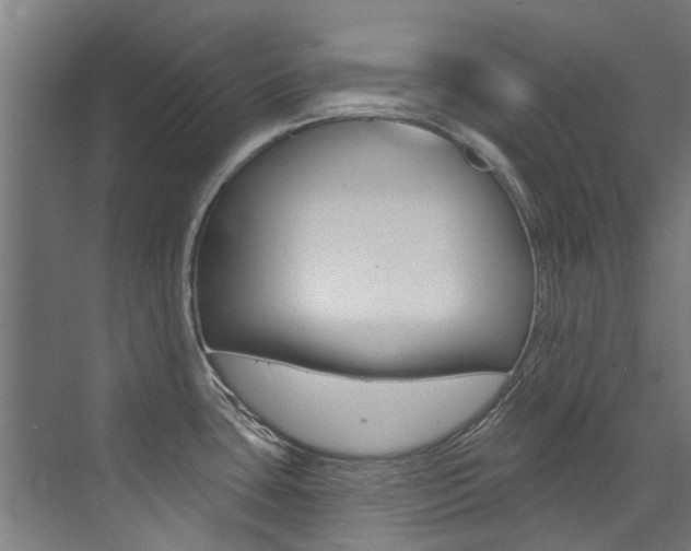 X0000072971435200607211019