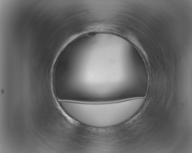 X0000072971437200607211019