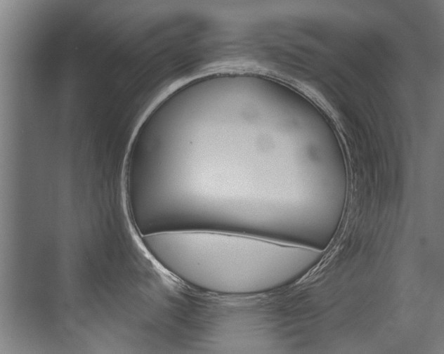 X0000072971440200607211019