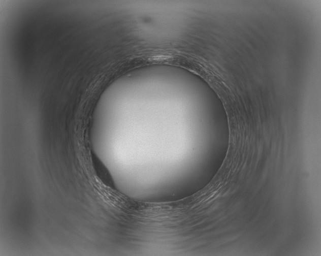 X0000072971441200607211018
