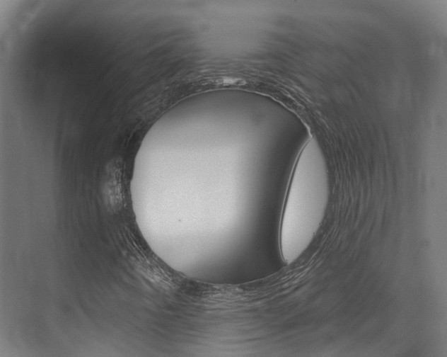 X0000072971442200607211018
