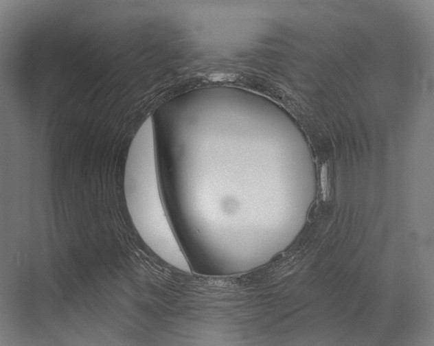 X0000072971443200607211018