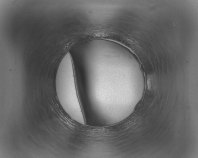 X0000072971444200607211018