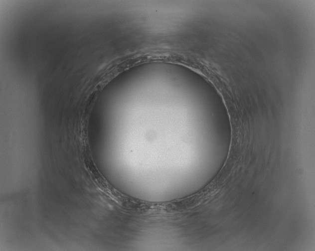 X0000072971445200607211018