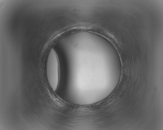 X0000072971448200607211018