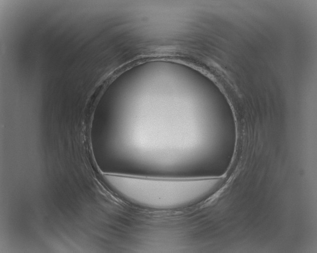 X0000072971449200607211018