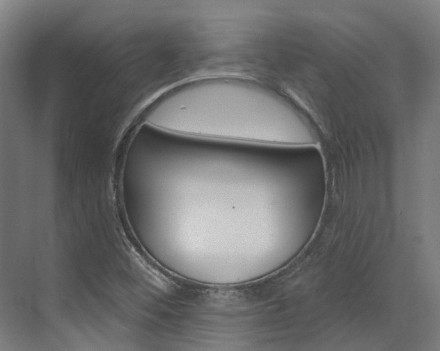X0000072971452200607211018