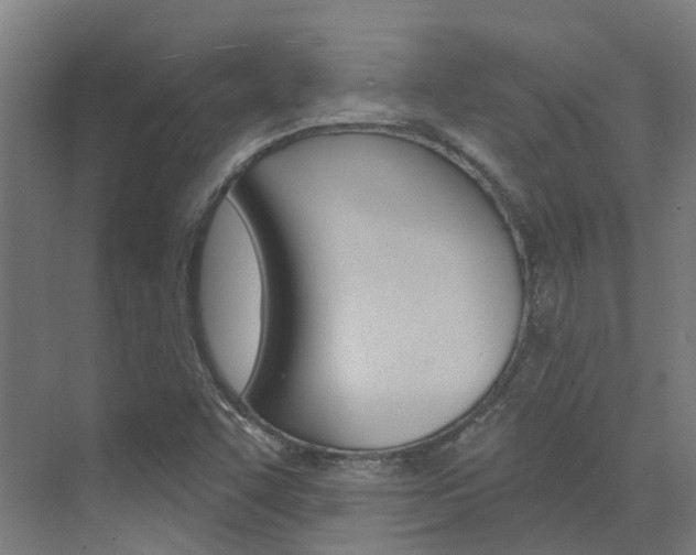 X0000072971455200607211018