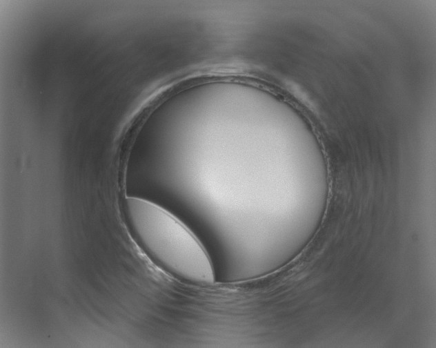 X0000072971456200607211018