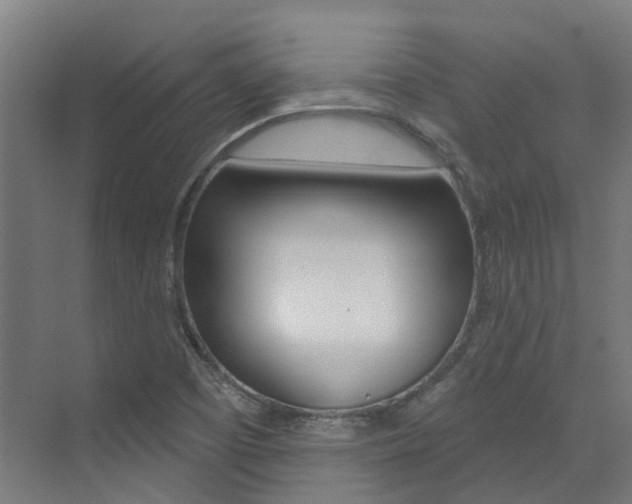 X0000072971457200607211018
