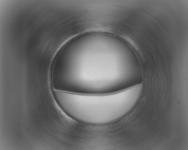 X0000072971468200607211018