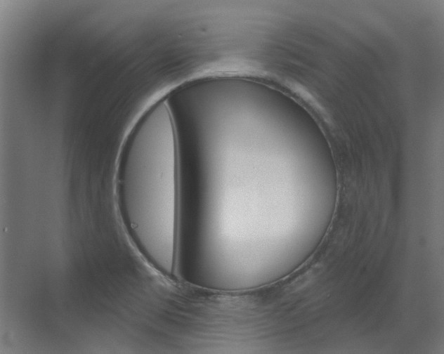 X0000072971469200607211018