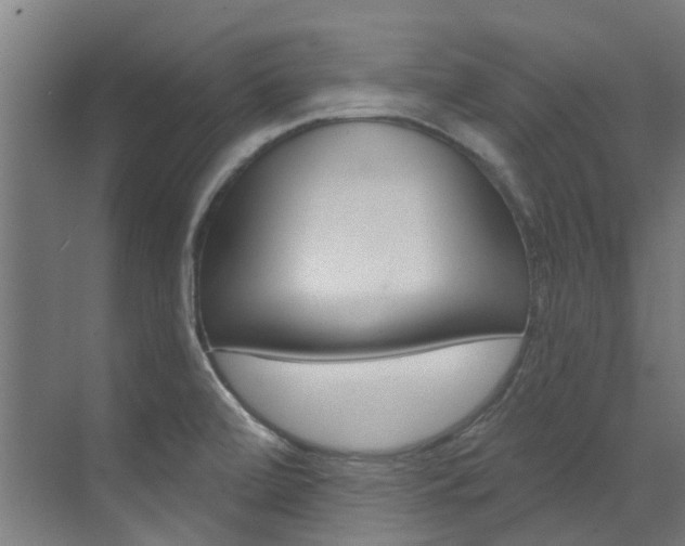 X0000072971472200607211018