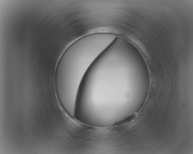 X0000072971473200607211018