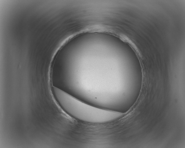 X0000072971477200607211017