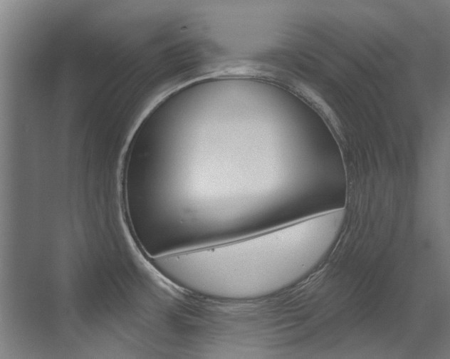 X0000072971483200607211017
