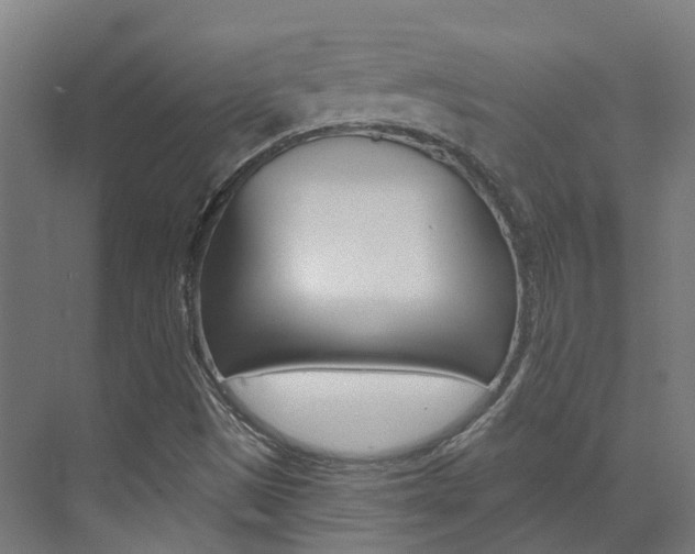 X0000072971497200607211017