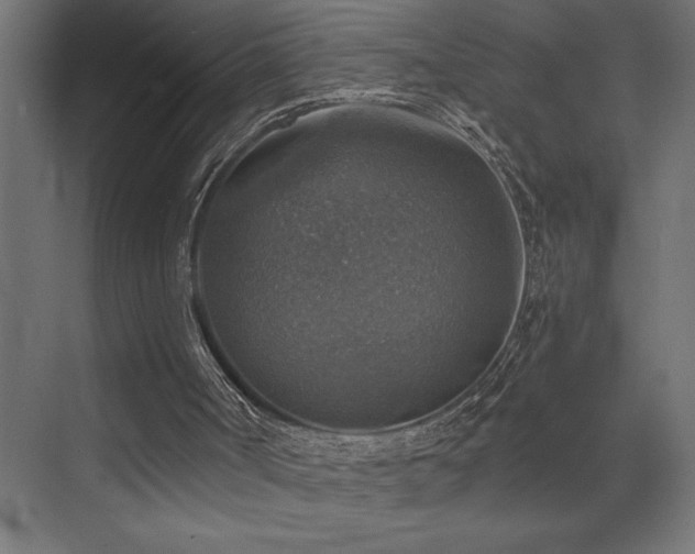 X0000072970002200607211235