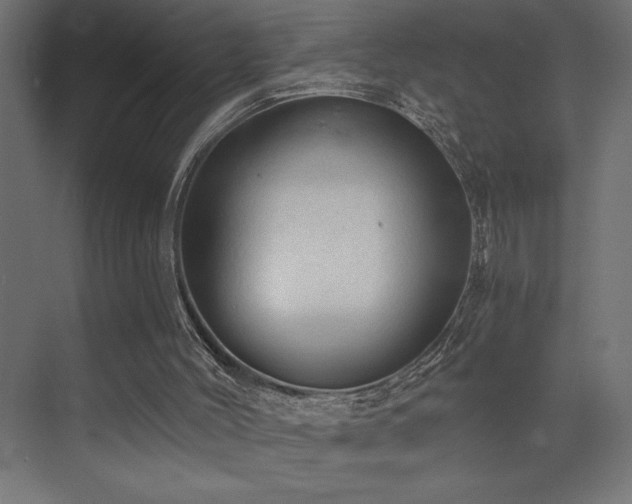 X0000072970004200607211235