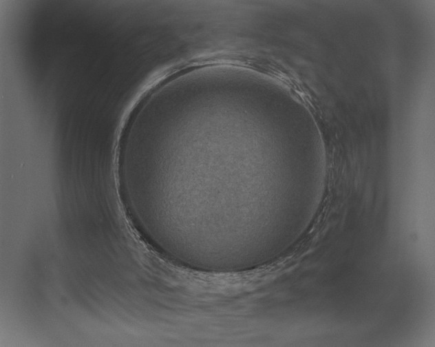 X0000072970006200607211235