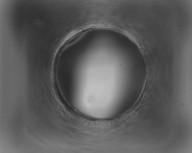 X0000072970008200607211235