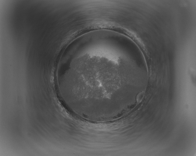 X0000072970010200607211235