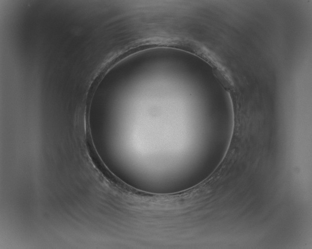 X0000072970011200607211235