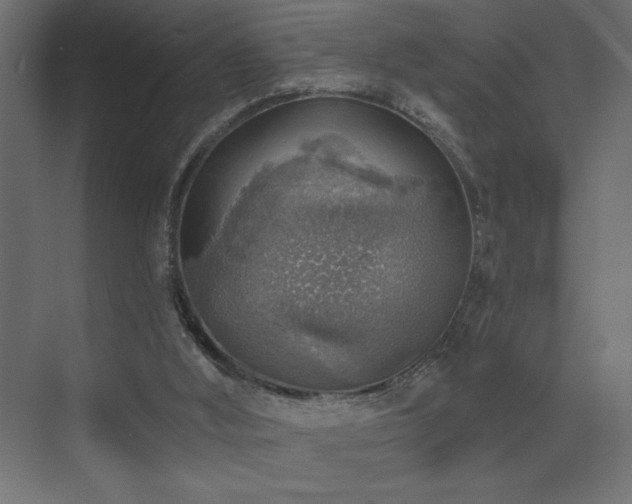 X0000072970012200607211235