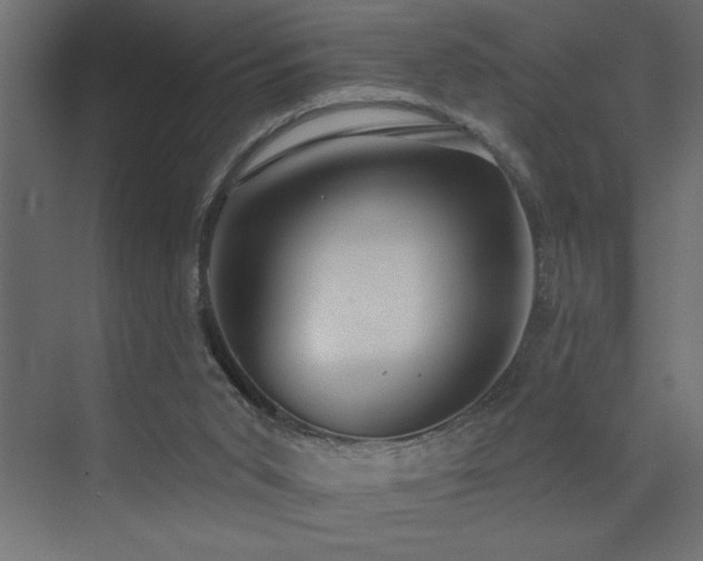 X0000072970015200607211235