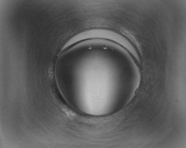 X0000072970017200607211235