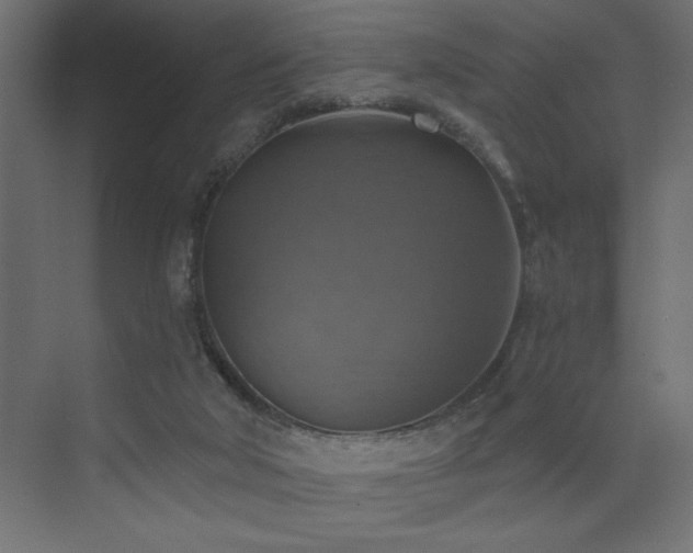 X0000072970018200607211235