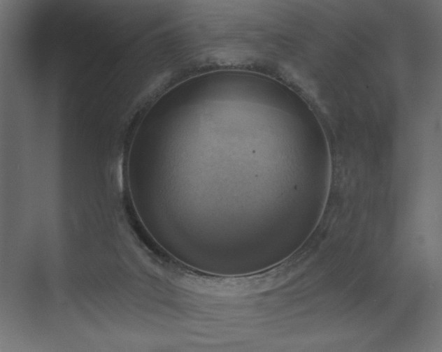 X0000072970019200607211235