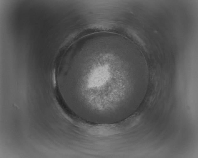 X0000072970020200607211235