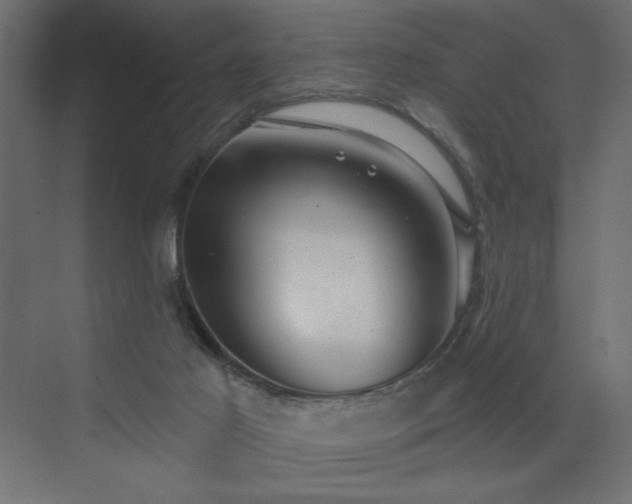 X0000072970021200607211235