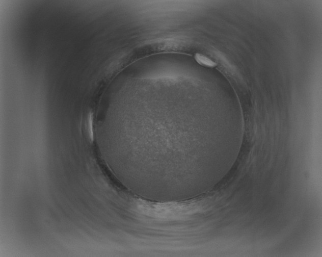 X0000072970022200607211235