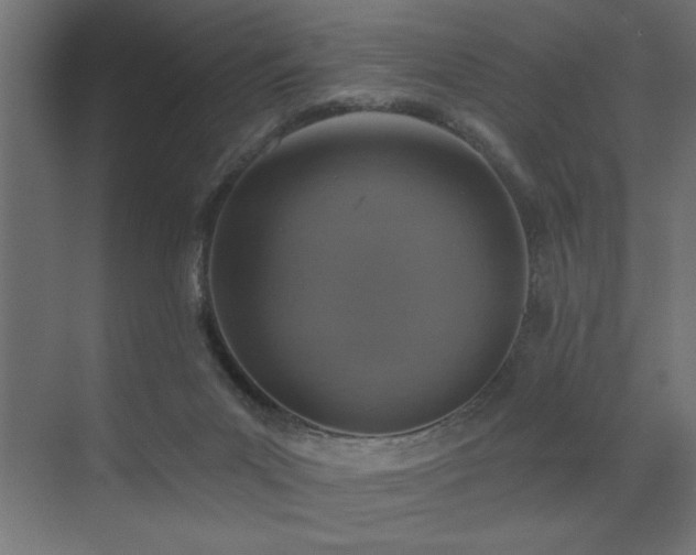 X0000072970023200607211235