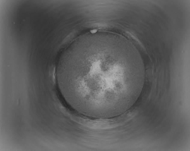 X0000072970024200607211235