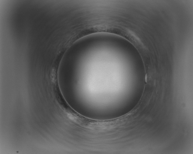 X0000072970025200607211235