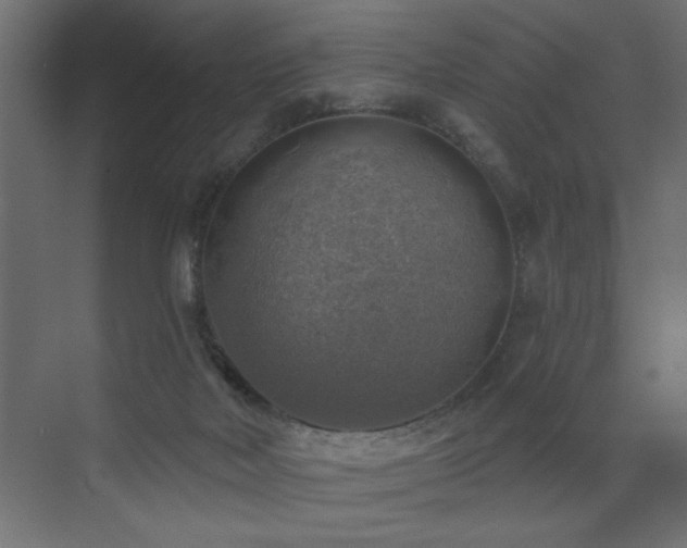 X0000072970026200607211235