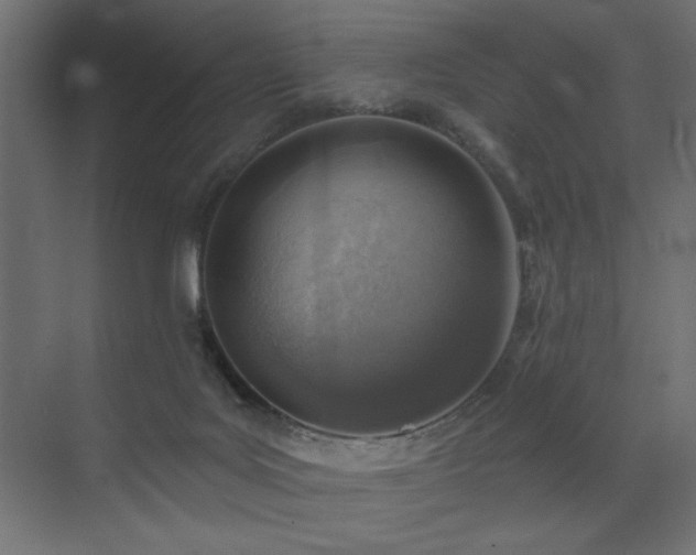 X0000072970027200607211235