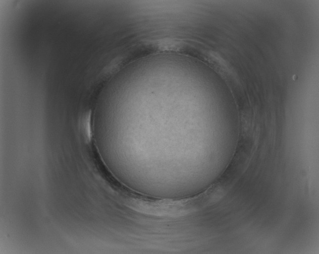 X0000072970028200607211235