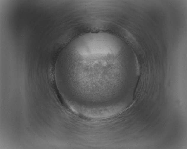 X0000072970029200607211235