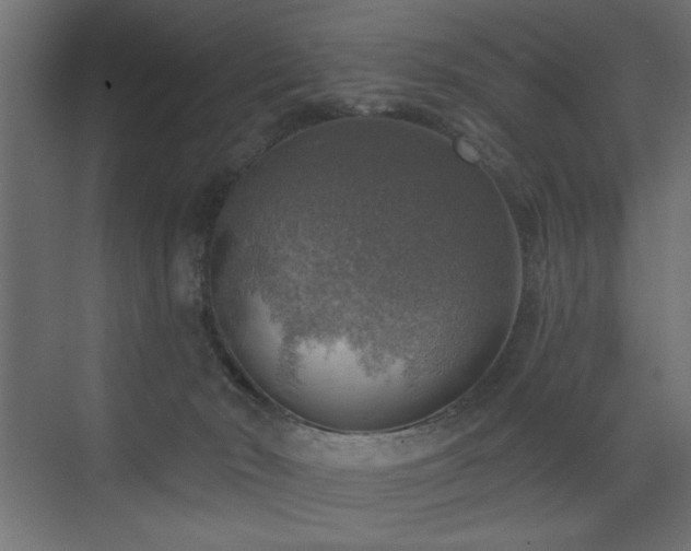 X0000072970030200607211235